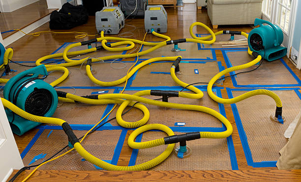 Professional Sewage Cleanup technician working in Manchester, IA
